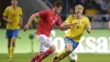 Länder aus Skandinavien wollen die Fußball-EM 2024 ausrichten